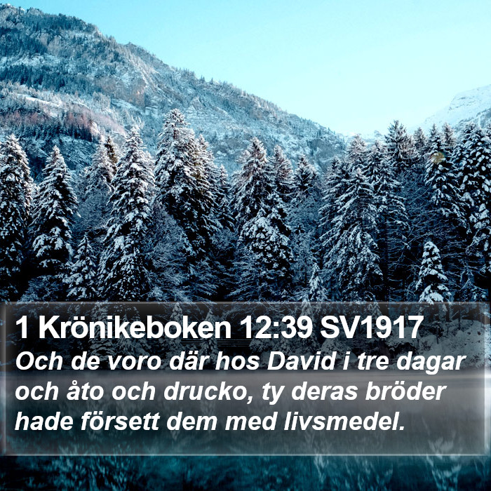 1 Krönikeboken 12:39 SV1917 Bible Study