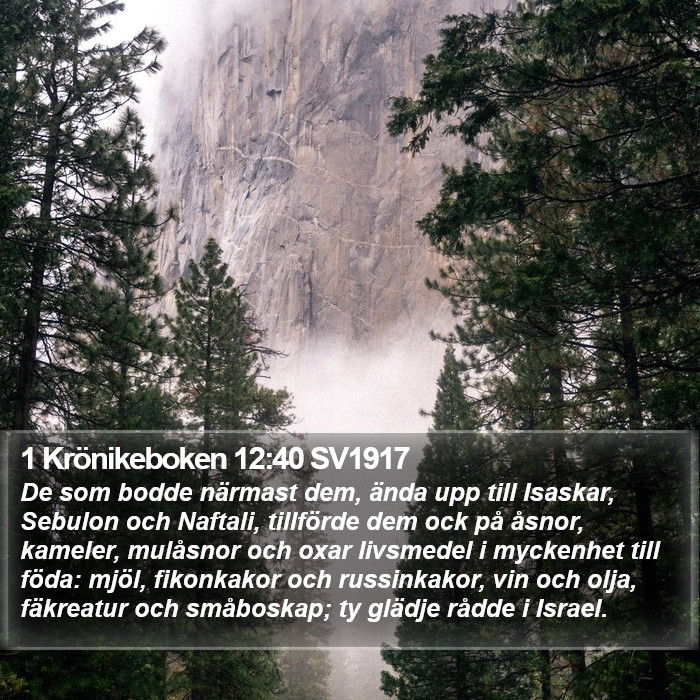 1 Krönikeboken 12:40 SV1917 Bible Study