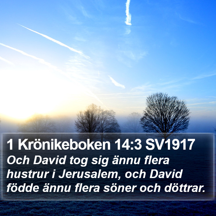 1 Krönikeboken 14:3 SV1917 Bible Study