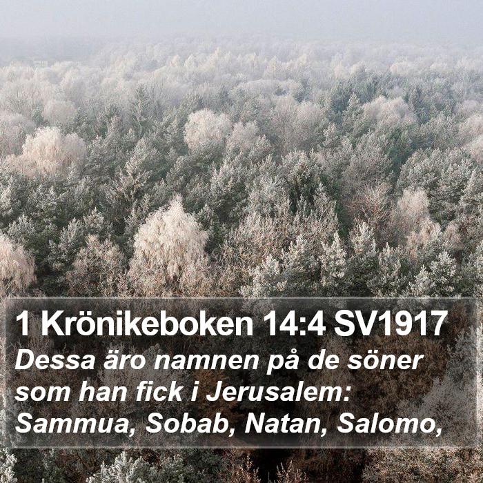 1 Krönikeboken 14:4 SV1917 Bible Study