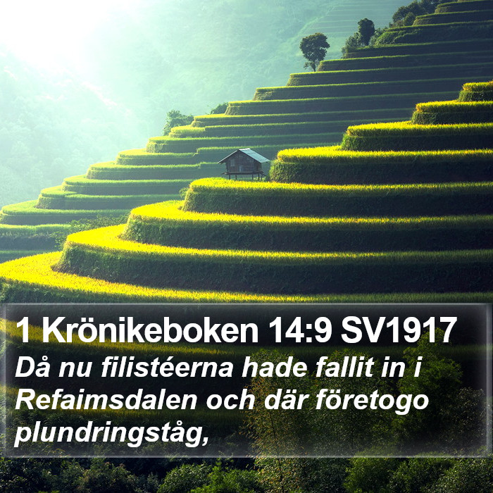 1 Krönikeboken 14:9 SV1917 Bible Study