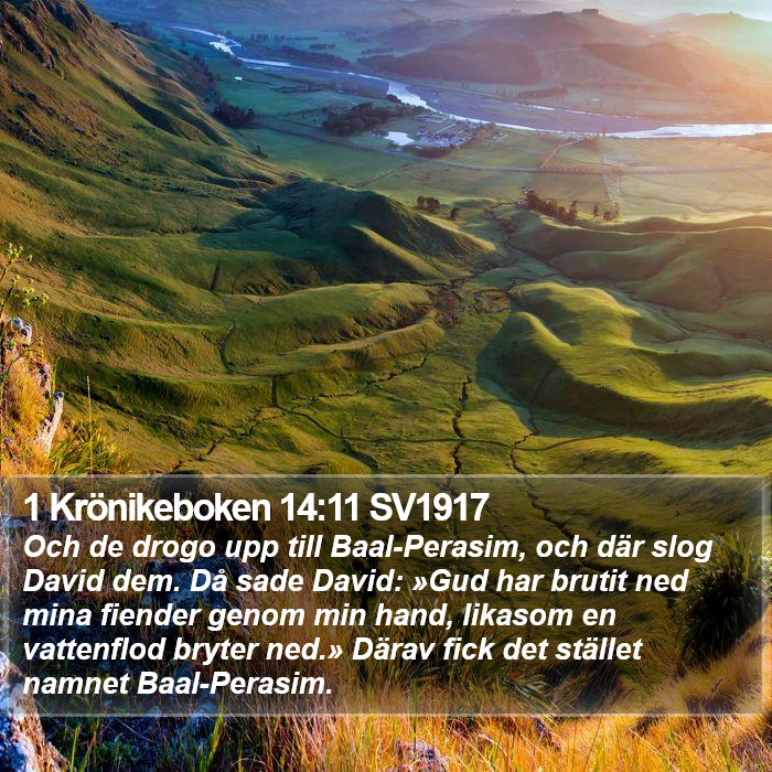 1 Krönikeboken 14:11 SV1917 Bible Study