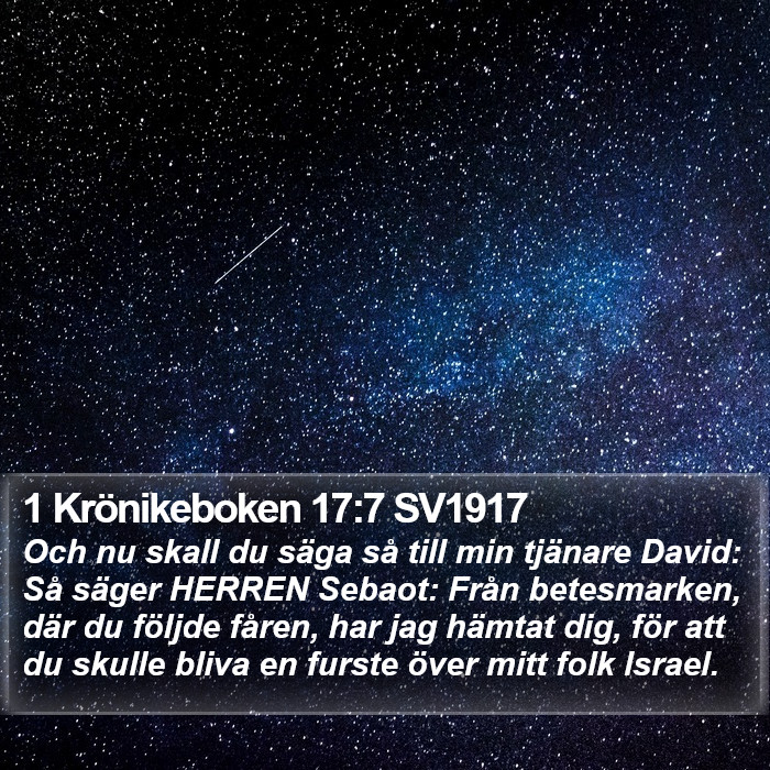 1 Krönikeboken 17:7 SV1917 Bible Study