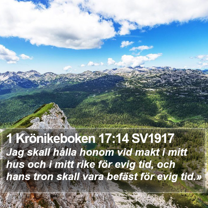 1 Krönikeboken 17:14 SV1917 Bible Study