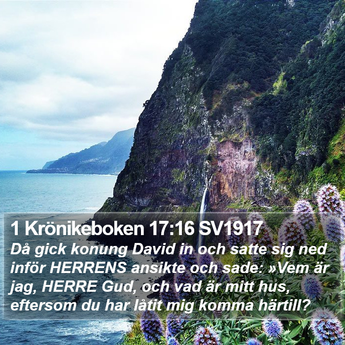 1 Krönikeboken 17:16 SV1917 Bible Study
