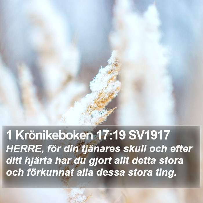 1 Krönikeboken 17:19 SV1917 Bible Study