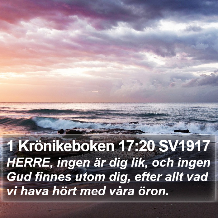 1 Krönikeboken 17:20 SV1917 Bible Study