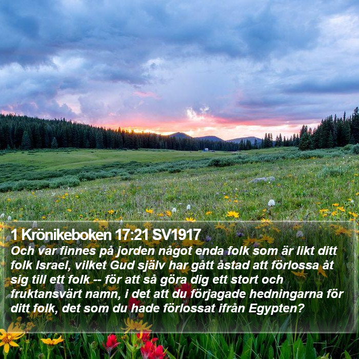 1 Krönikeboken 17:21 SV1917 Bible Study