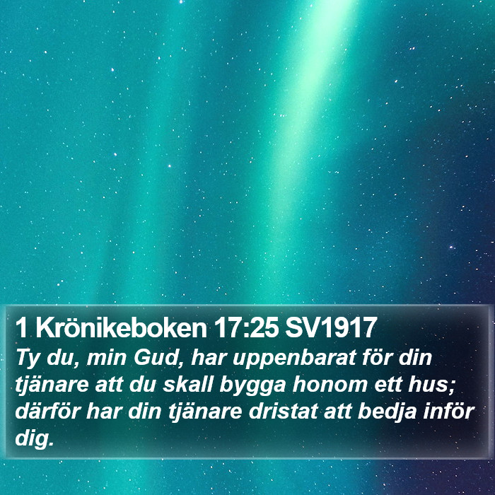 1 Krönikeboken 17:25 SV1917 Bible Study
