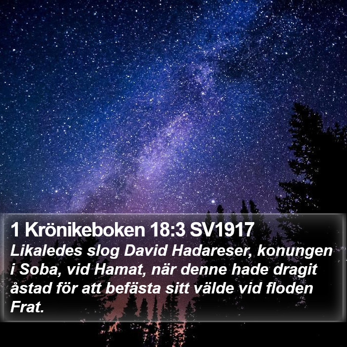 1 Krönikeboken 18:3 SV1917 Bible Study