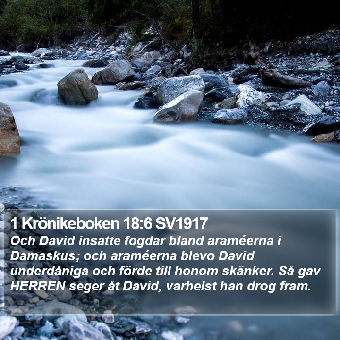 1 Krönikeboken 18:6 SV1917 Bible Study