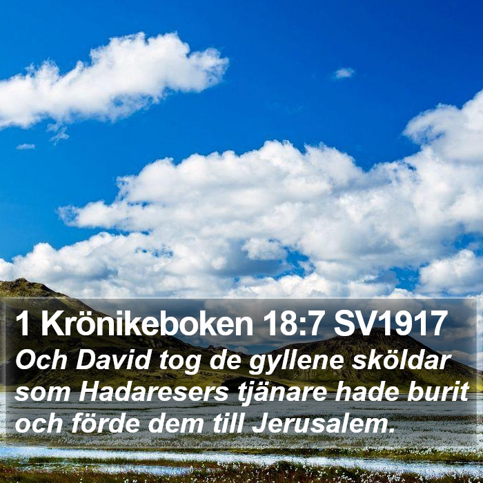 1 Krönikeboken 18:7 SV1917 Bible Study