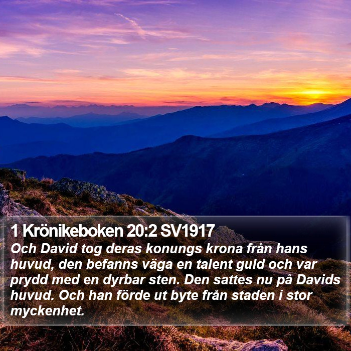 1 Krönikeboken 20:2 SV1917 Bible Study