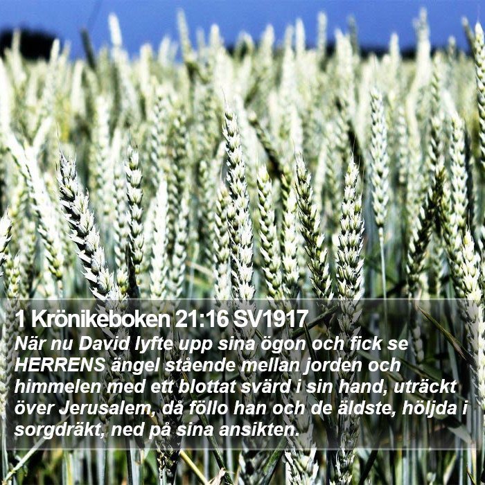 1 Krönikeboken 21:16 SV1917 Bible Study