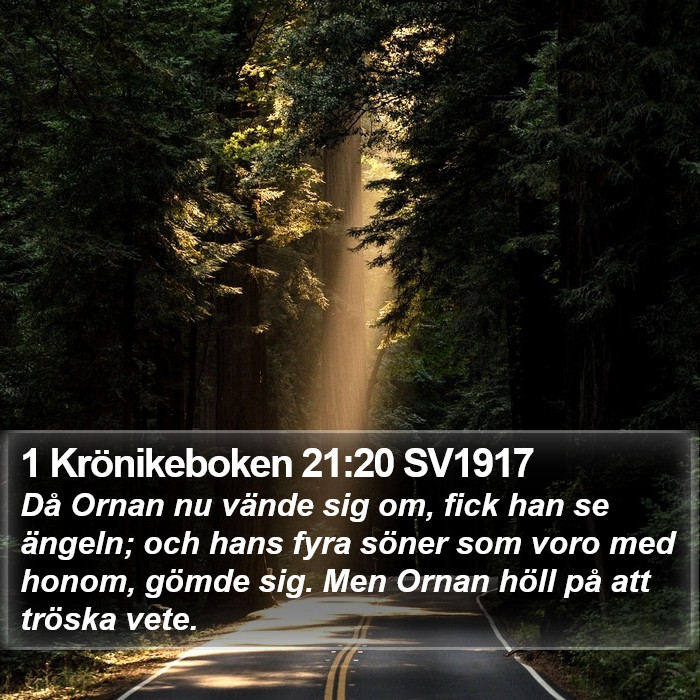 1 Krönikeboken 21:20 SV1917 Bible Study