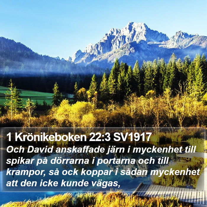 1 Krönikeboken 22:3 SV1917 Bible Study