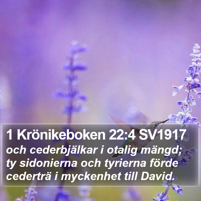 1 Krönikeboken 22:4 SV1917 Bible Study