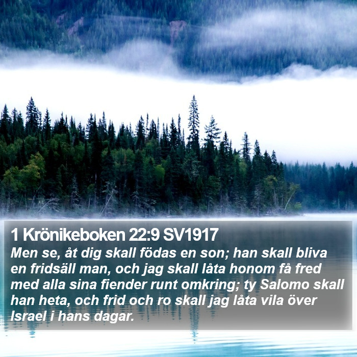 1 Krönikeboken 22:9 SV1917 Bible Study