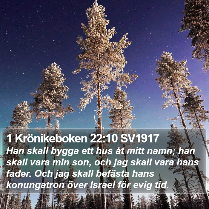 1 Krönikeboken 22:10 SV1917 Bible Study