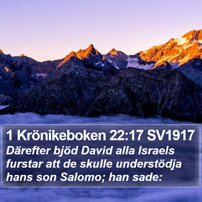 1 Krönikeboken 22:17 SV1917 Bible Study