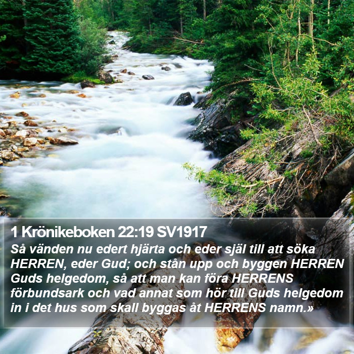 1 Krönikeboken 22:19 SV1917 Bible Study