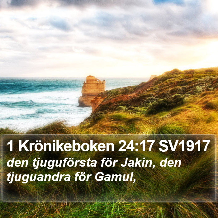 1 Krönikeboken 24:17 SV1917 Bible Study