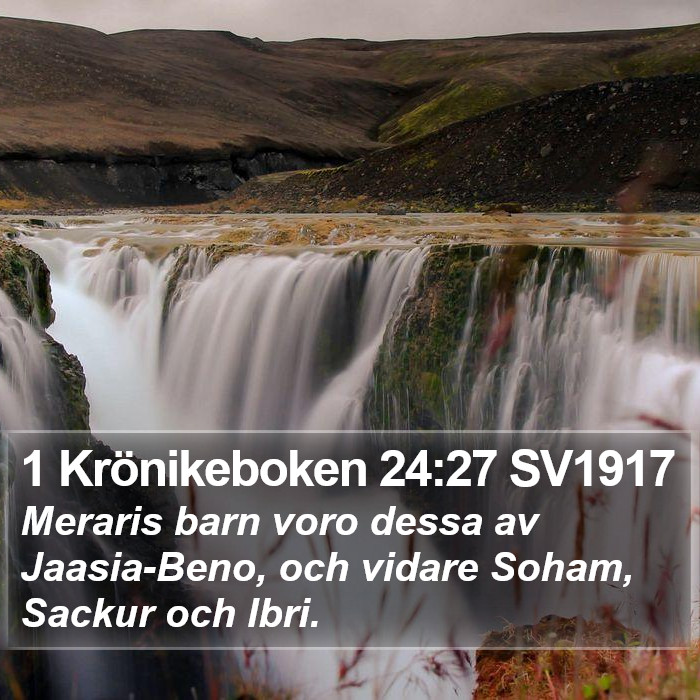 1 Krönikeboken 24:27 SV1917 Bible Study