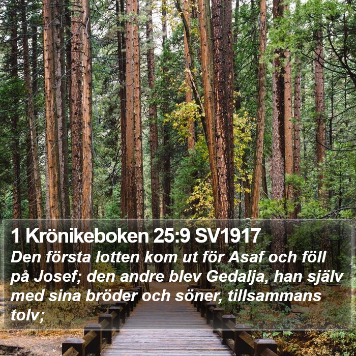 1 Krönikeboken 25:9 SV1917 Bible Study