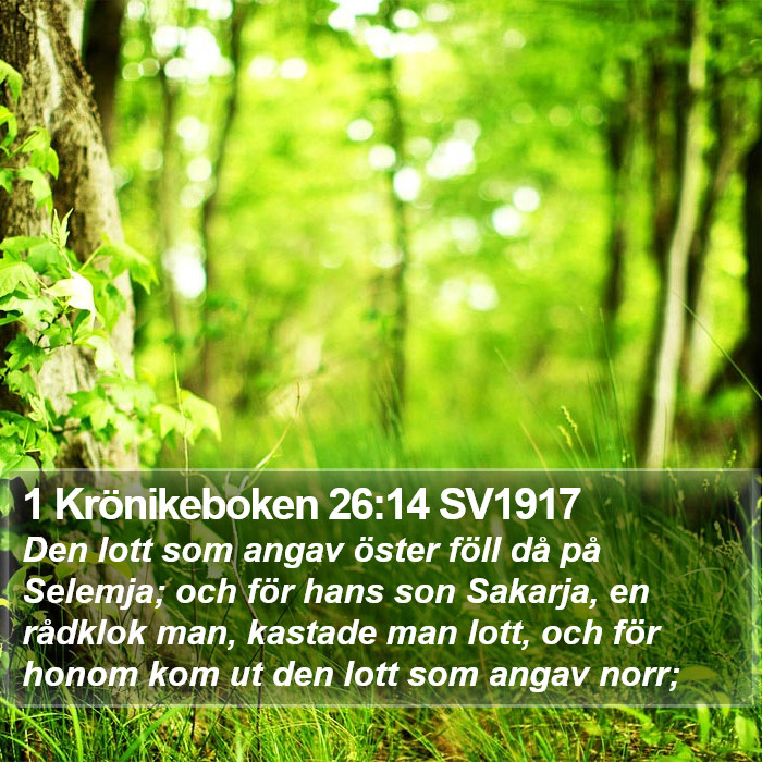 1 Krönikeboken 26:14 SV1917 Bible Study