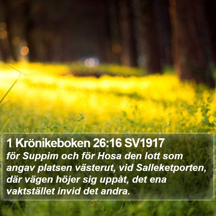 1 Krönikeboken 26:16 SV1917 Bible Study