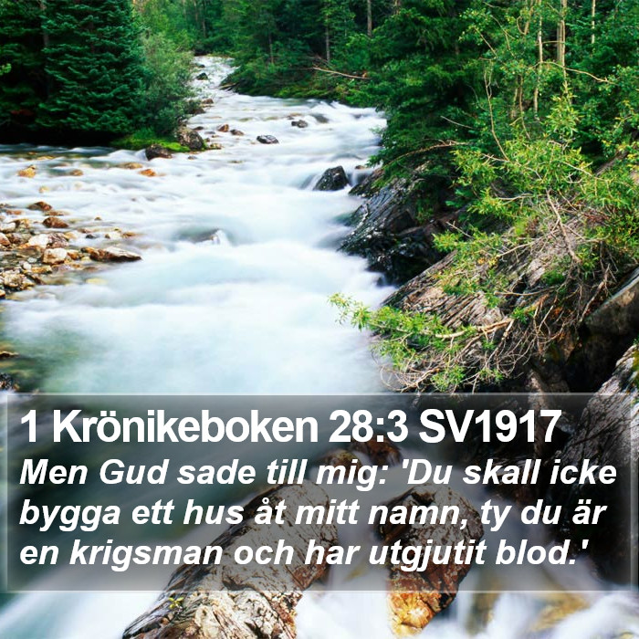 1 Krönikeboken 28:3 SV1917 Bible Study