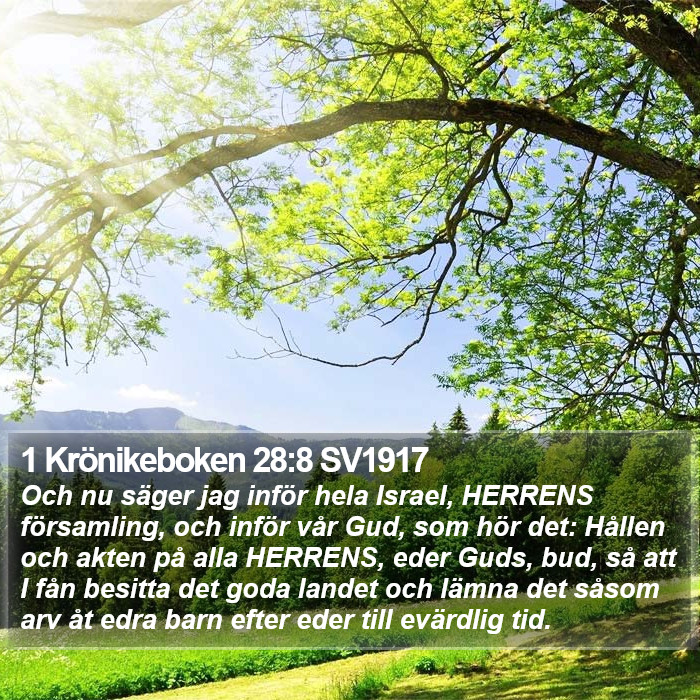 1 Krönikeboken 28:8 SV1917 Bible Study