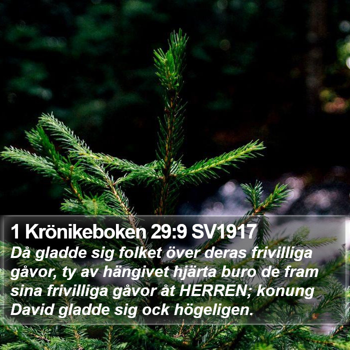 1 Krönikeboken 29:9 SV1917 Bible Study