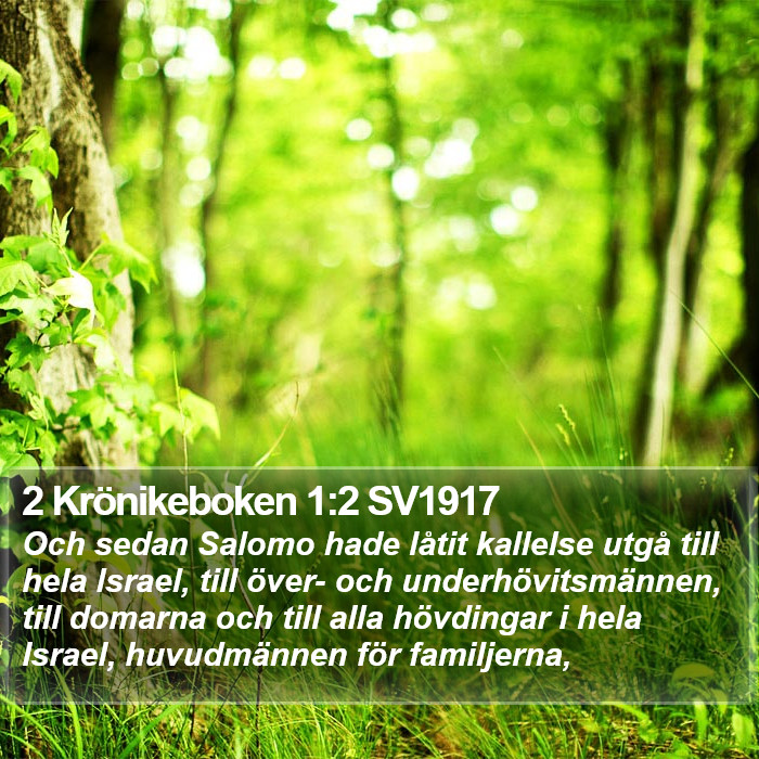 2 Krönikeboken 1:2 SV1917 Bible Study