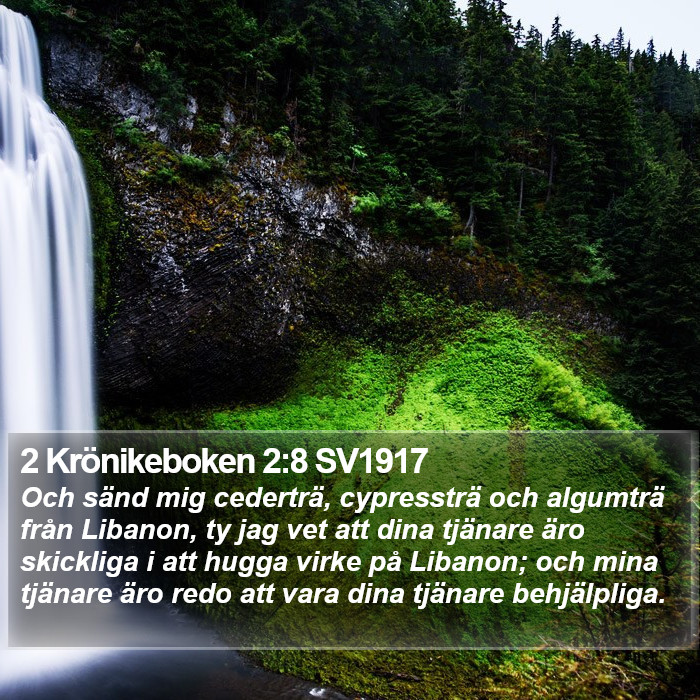 2 Krönikeboken 2:8 SV1917 Bible Study