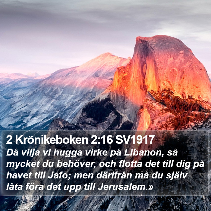 2 Krönikeboken 2:16 SV1917 Bible Study