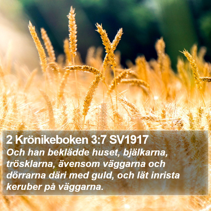 2 Krönikeboken 3:7 SV1917 Bible Study