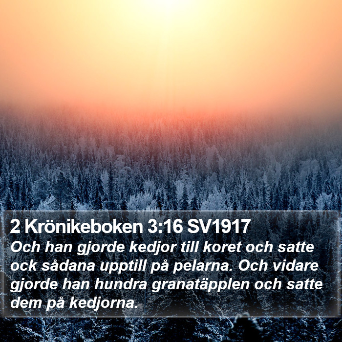 2 Krönikeboken 3:16 SV1917 Bible Study