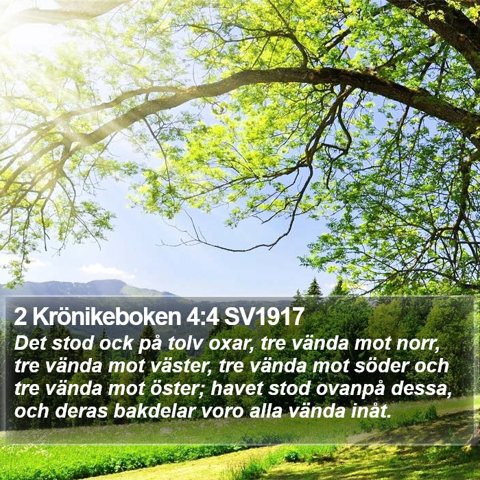 2 Krönikeboken 4:4 SV1917 Bible Study