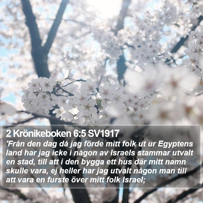 2 Krönikeboken 6:5 SV1917 Bible Study