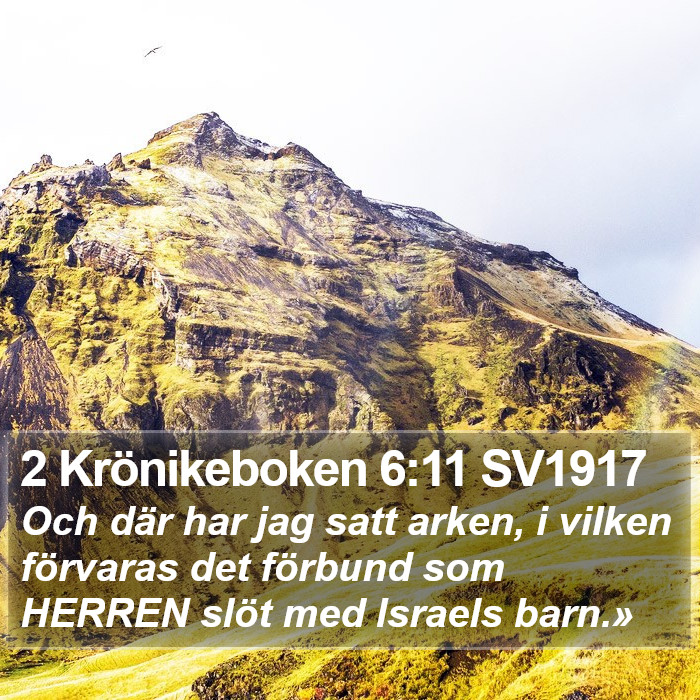2 Krönikeboken 6:11 SV1917 Bible Study