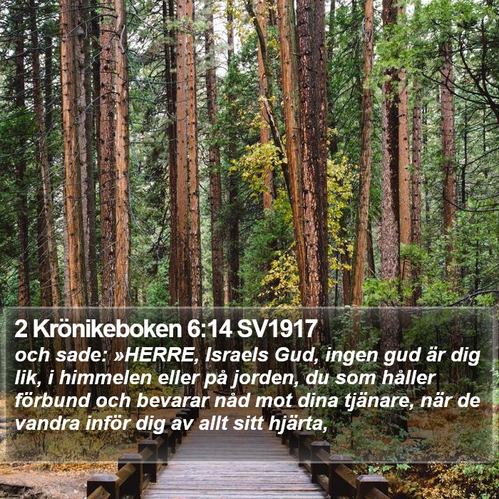 2 Krönikeboken 6:14 SV1917 Bible Study