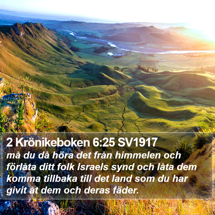 2 Krönikeboken 6:25 SV1917 Bible Study