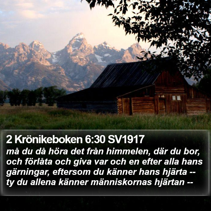 2 Krönikeboken 6:30 SV1917 Bible Study