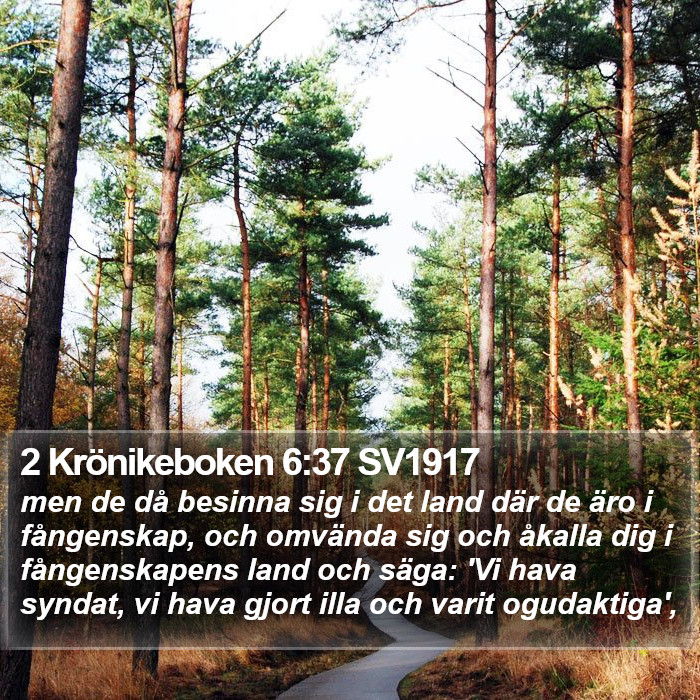 2 Krönikeboken 6:37 SV1917 Bible Study