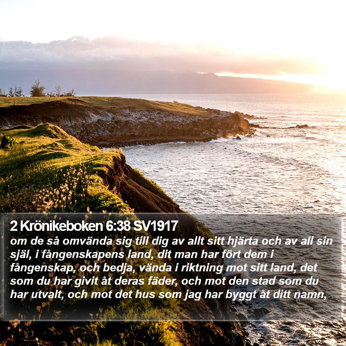 2 Krönikeboken 6:38 SV1917 Bible Study