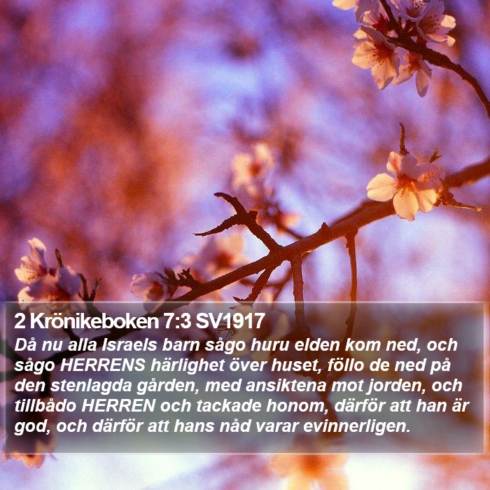 2 Krönikeboken 7:3 SV1917 Bible Study