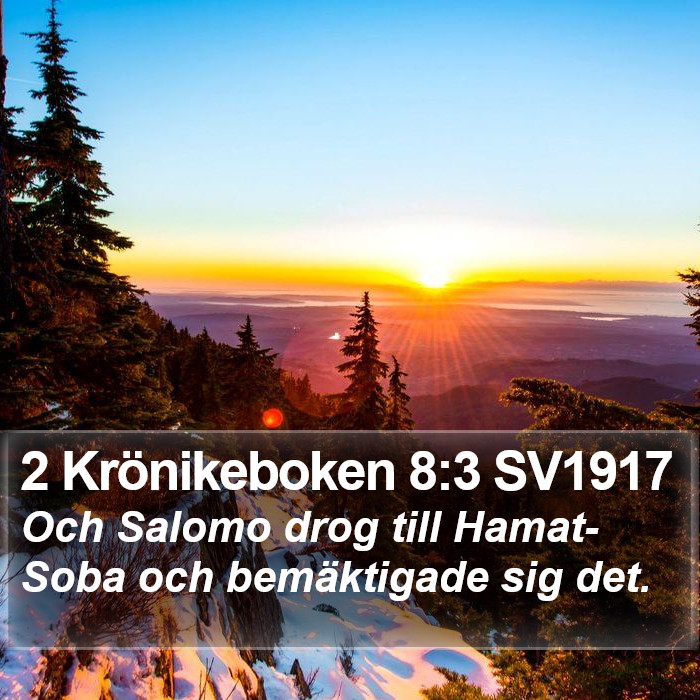 2 Krönikeboken 8:3 SV1917 Bible Study