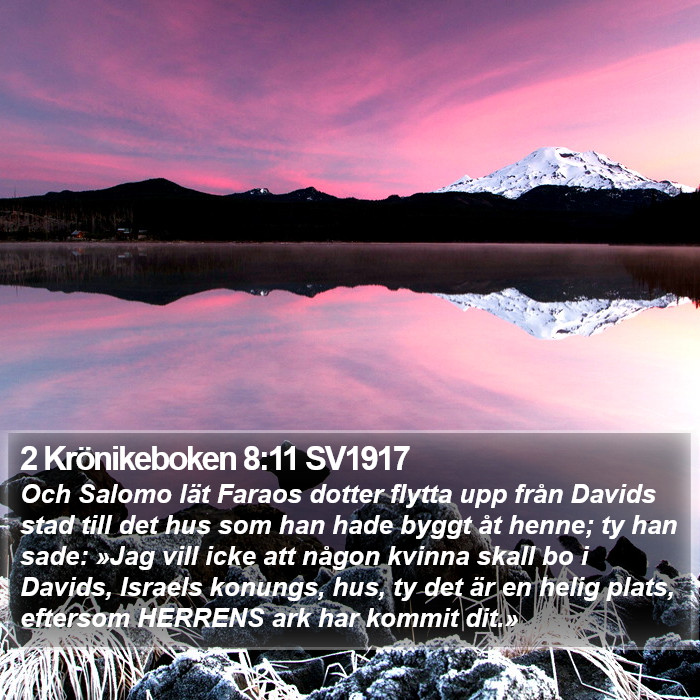 2 Krönikeboken 8:11 SV1917 Bible Study