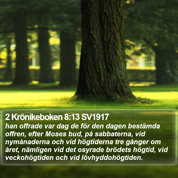 2 Krönikeboken 8:13 SV1917 Bible Study